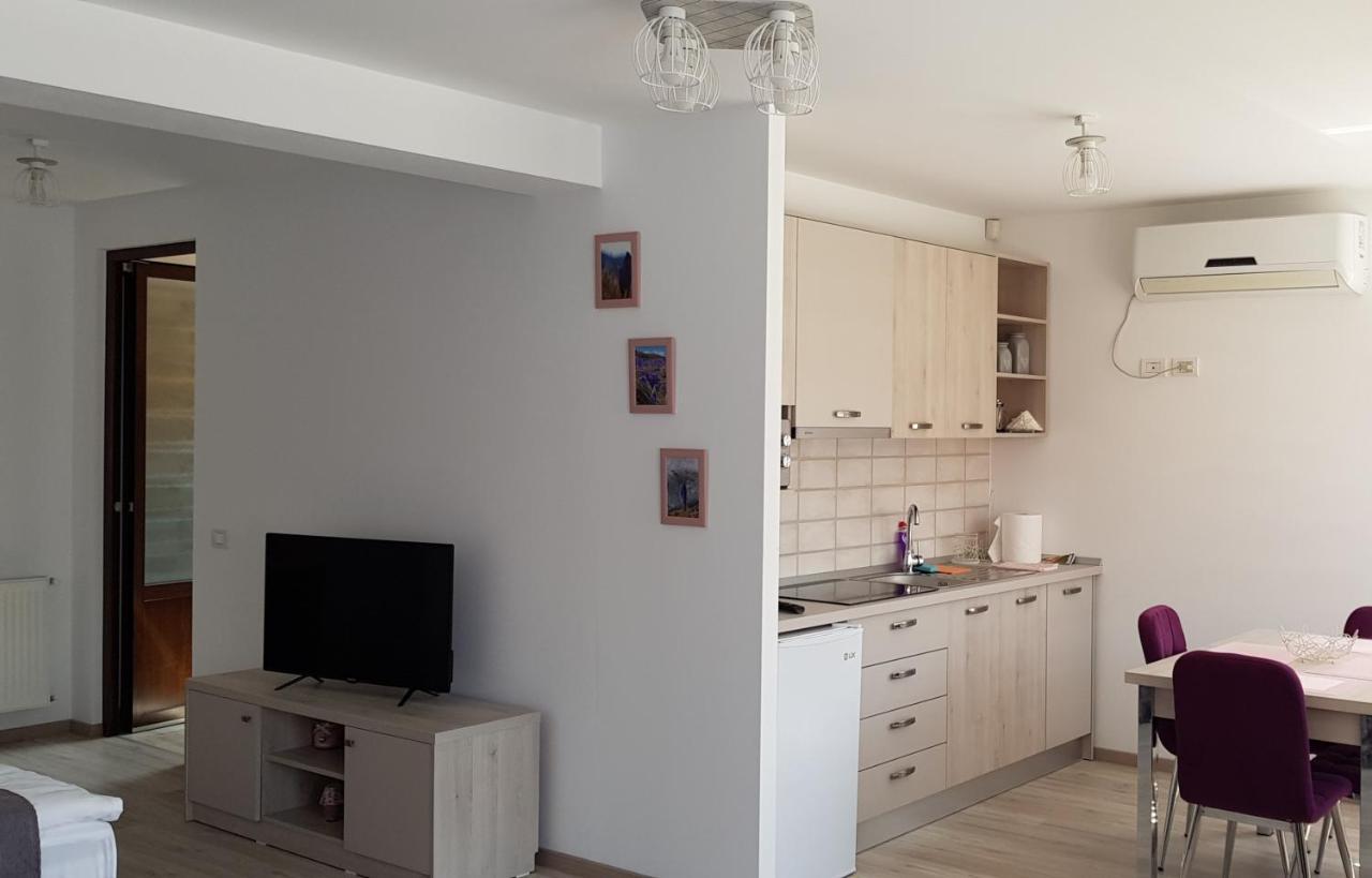 Casa Montis Hotel Borşa Екстериор снимка