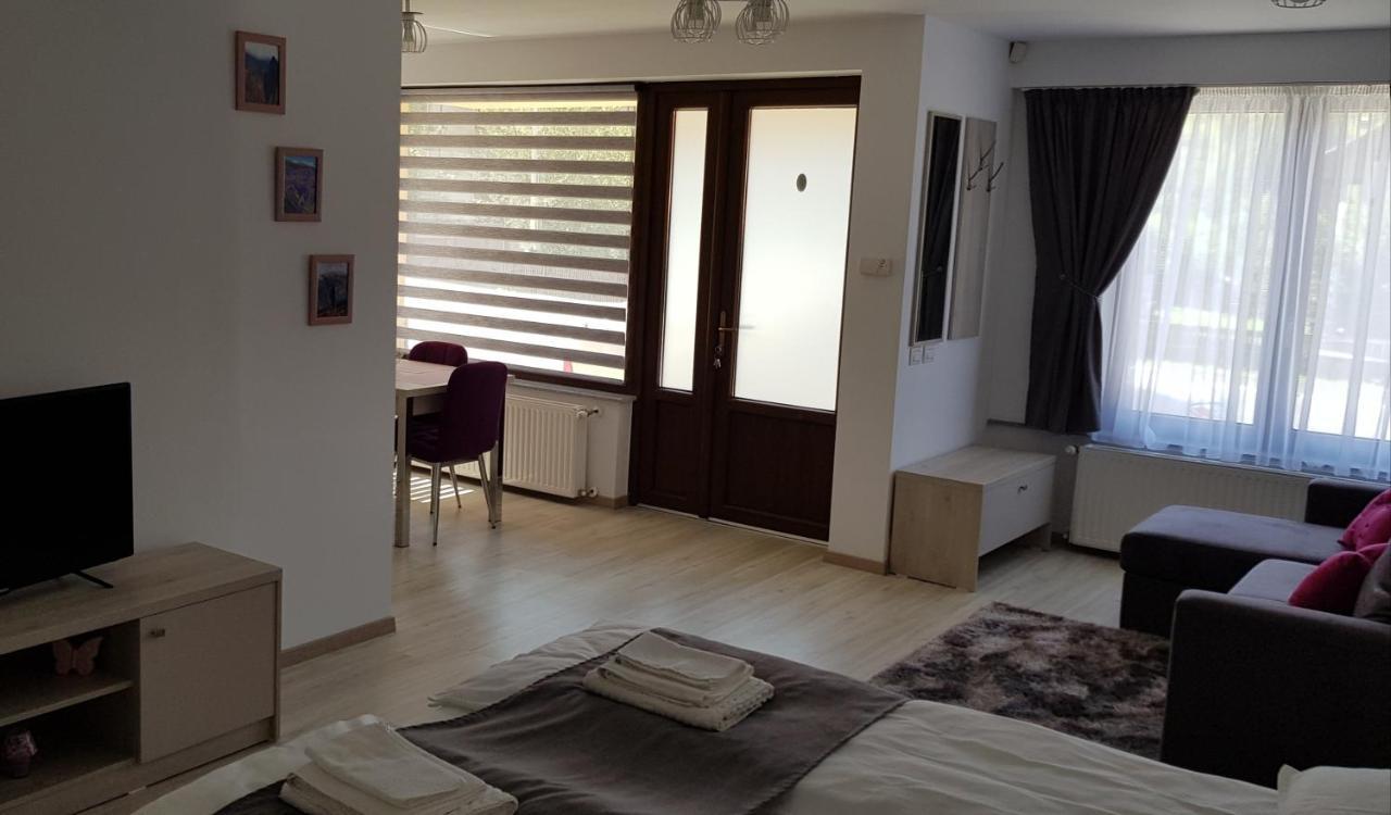 Casa Montis Hotel Borşa Екстериор снимка