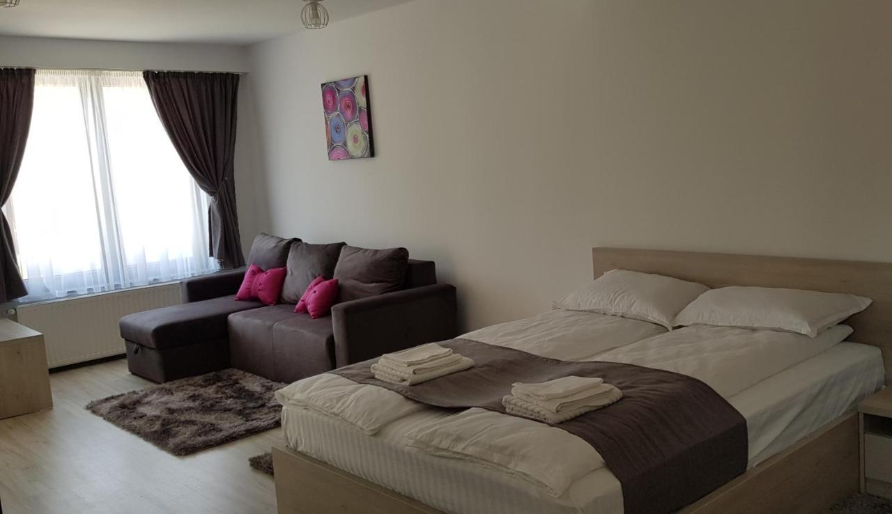 Casa Montis Hotel Borşa Екстериор снимка